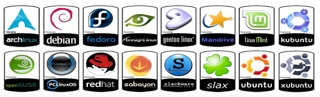 The different distributions of Linux, each is made for its own purpose.